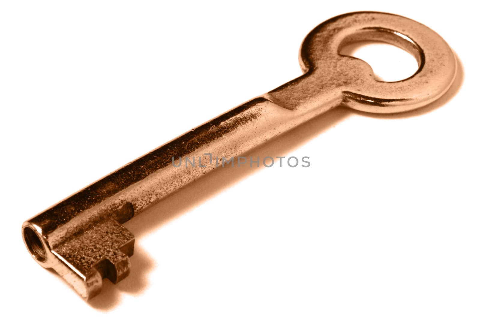 Gold key on white with soft shadow.