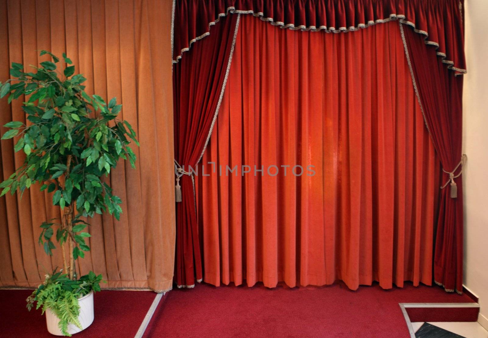 Red curtain inside the hall and flower pot