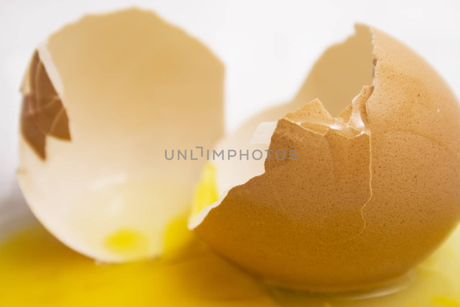 Close-up of a Broken Egg.
