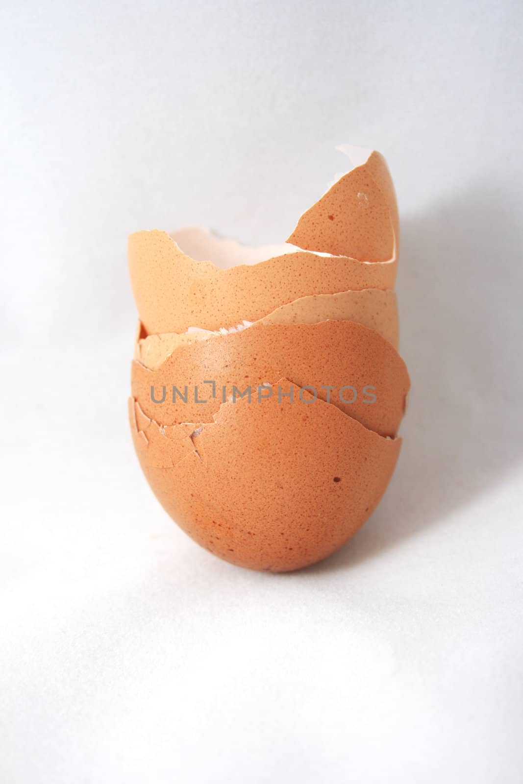 Egg shell by BengLim