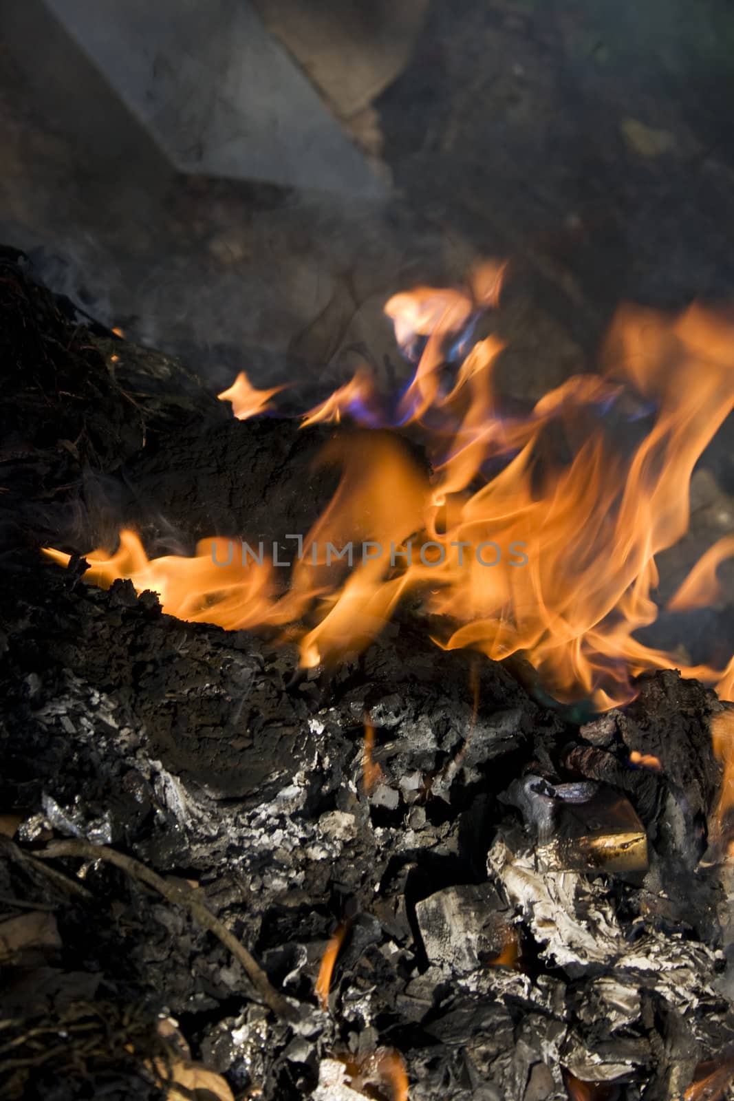 Burning rubbish. Fire part can crop and use as background on design.