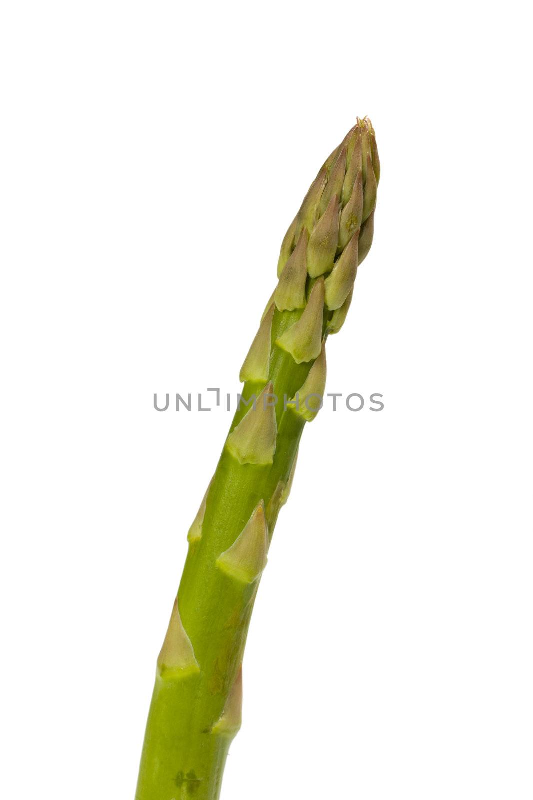 detail of fresh green asparagus isolated on white background