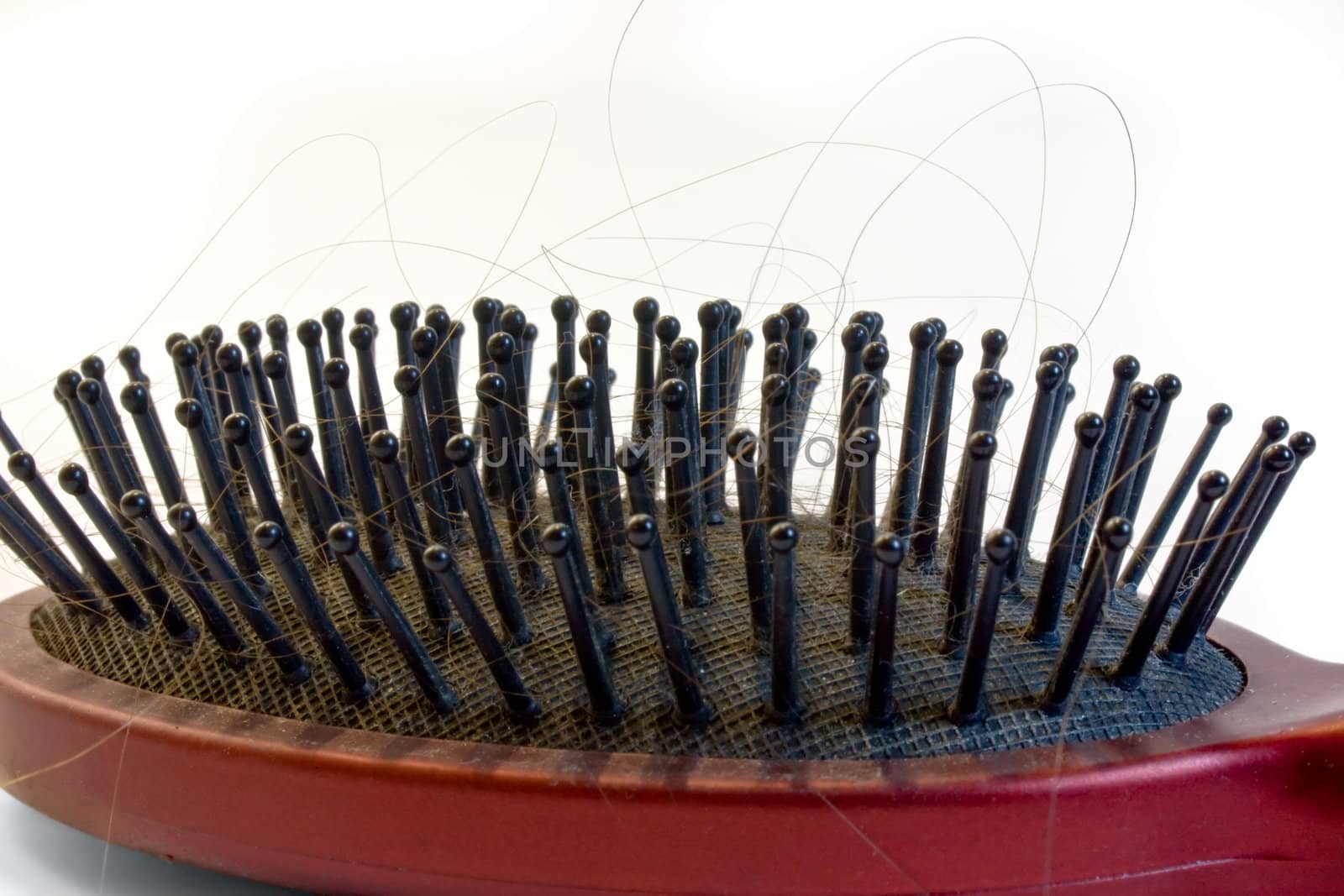 Hair on a hairbrush. A photo close up on a white background.