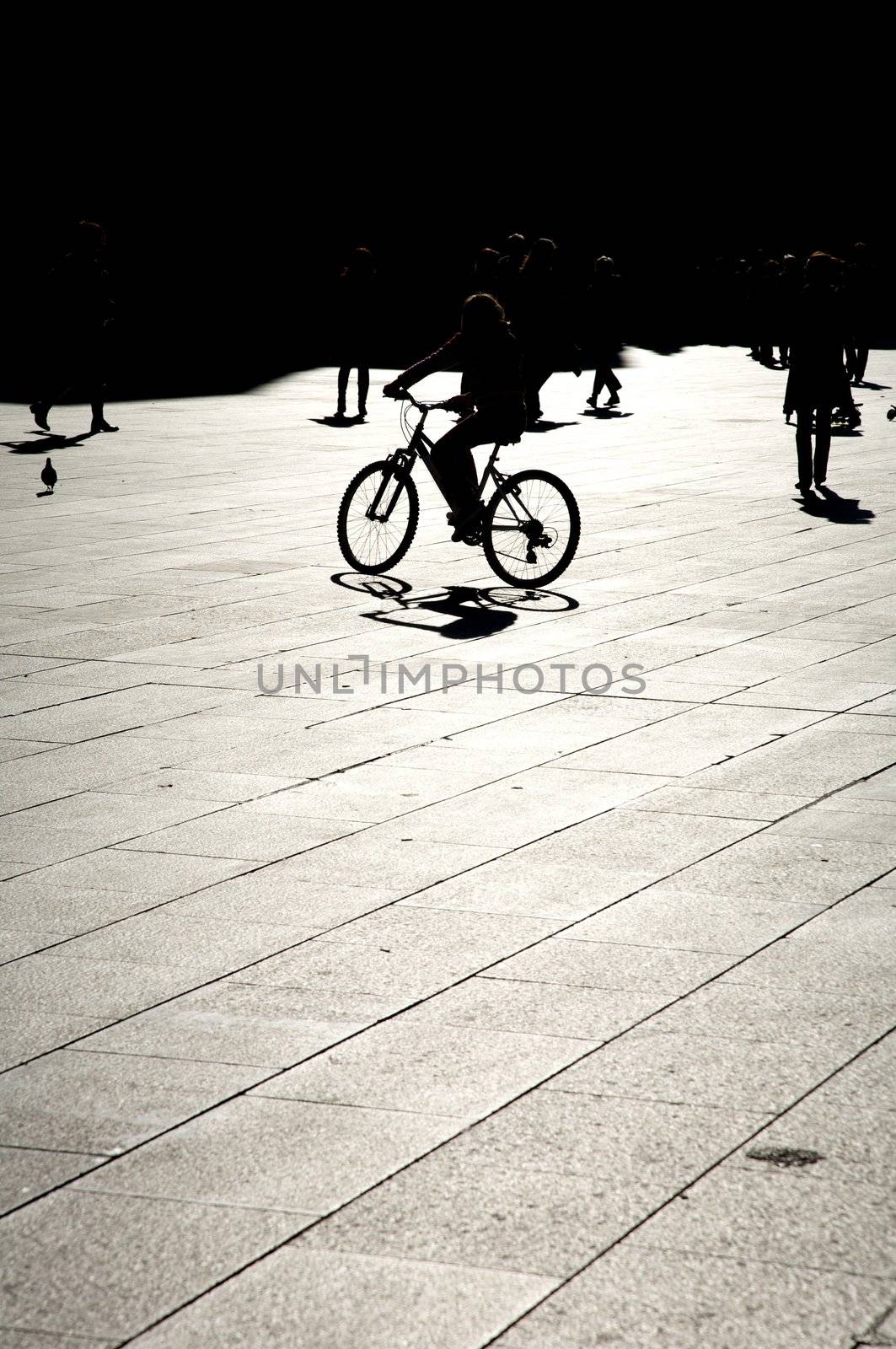 cyclist against sun by quintanilla