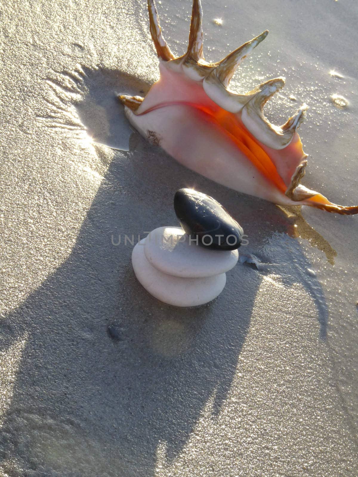 Angled shot of stones and shell on tidal sand