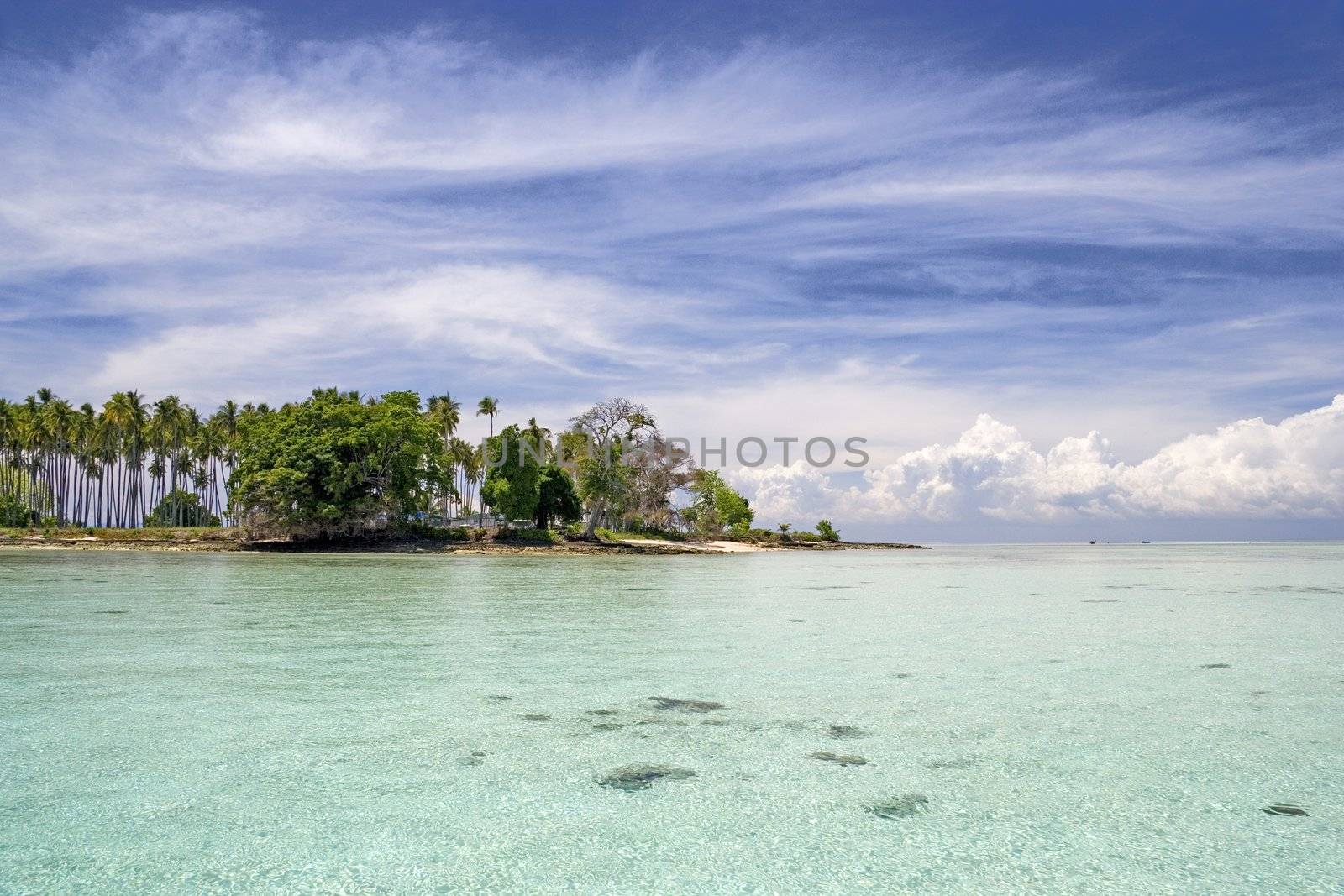 Image of a remote Malaysian tropical island with deep blue skies, crystal clear waters and coconut trees.