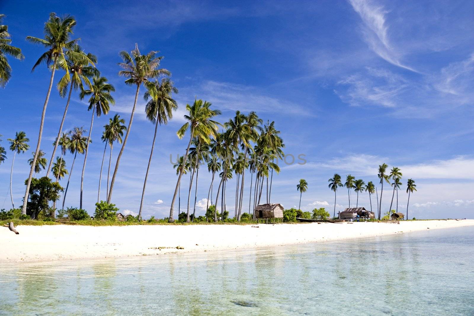 Tropical Island Paradise by shariffc