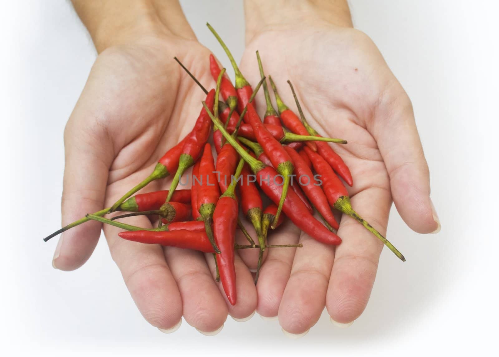 Hands with peppers by timscottrom