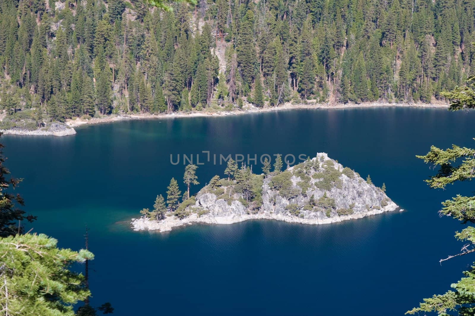 Hilly island in Lake Tahoe California surrounded by trees