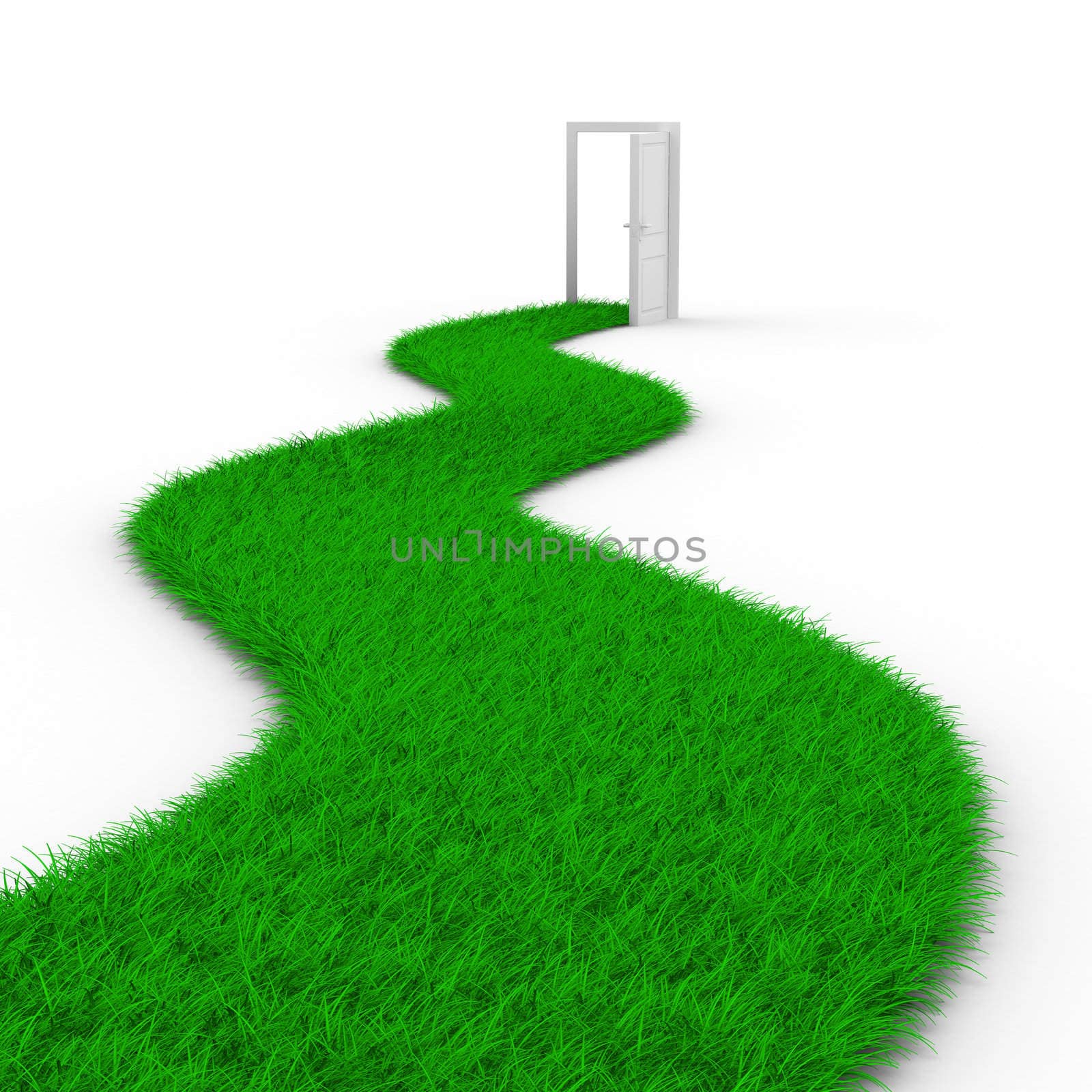 Road to door from grass. Isolated 3D image