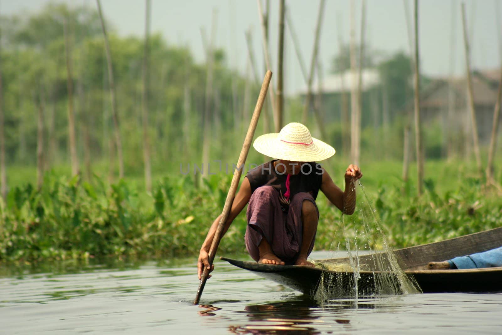 Myanmar people working in Inle Lake.