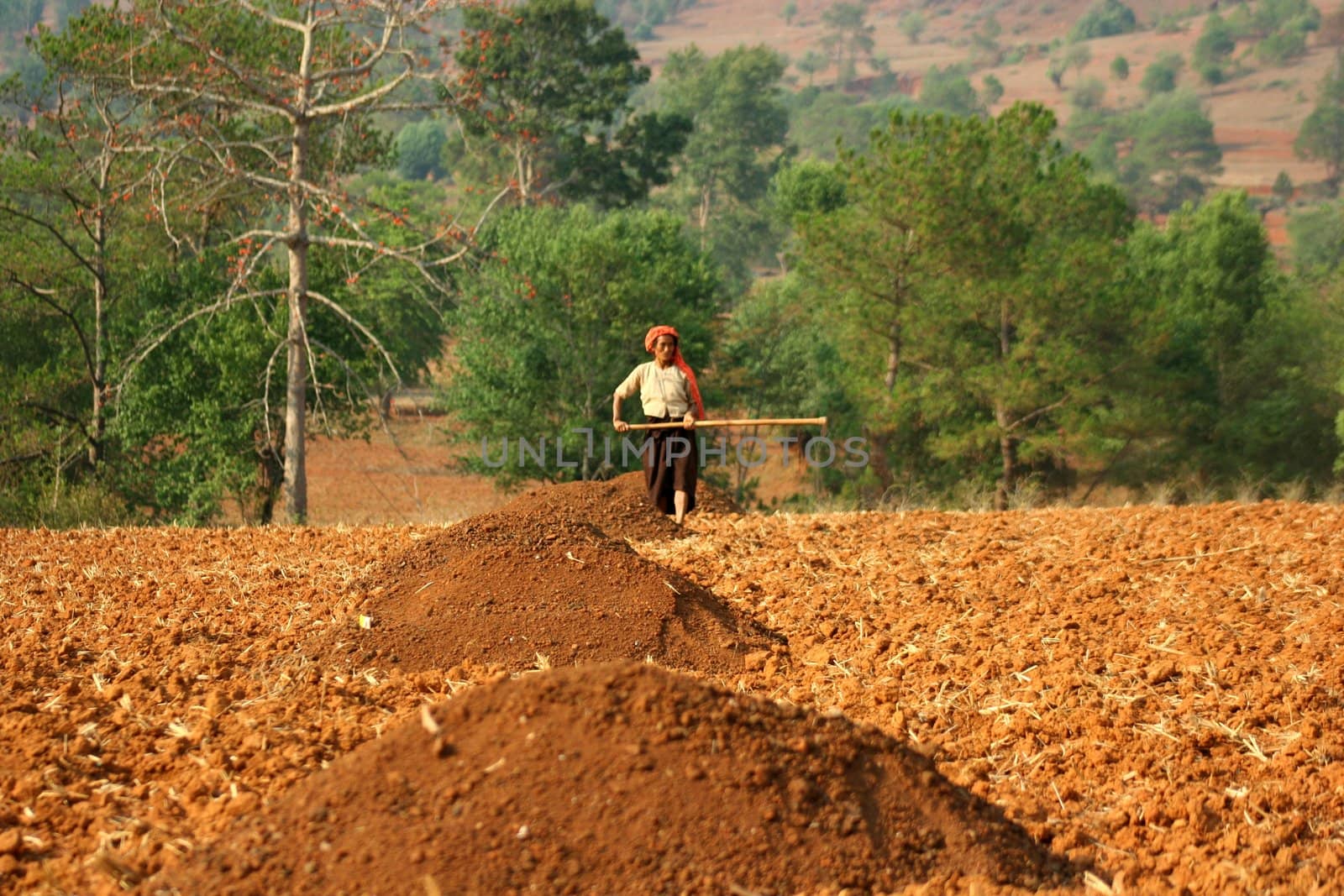 Myanmar women working in camp.