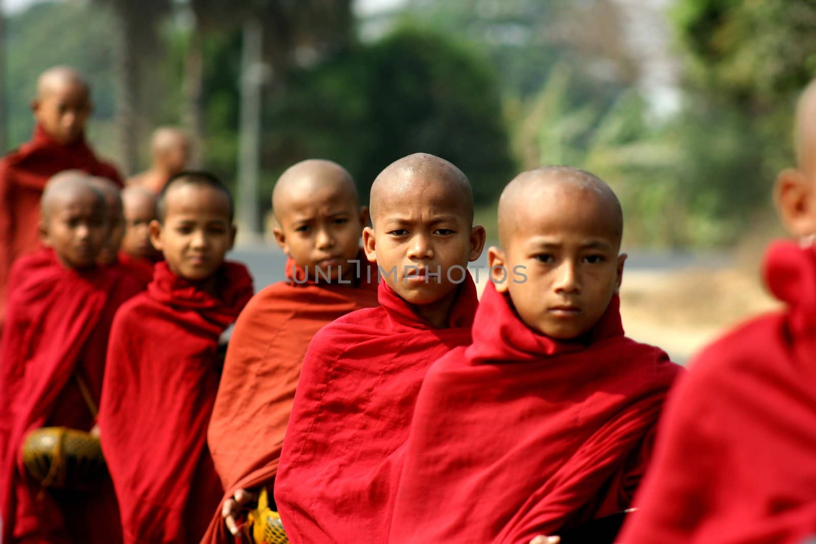 Myanmar monks in Myanmar