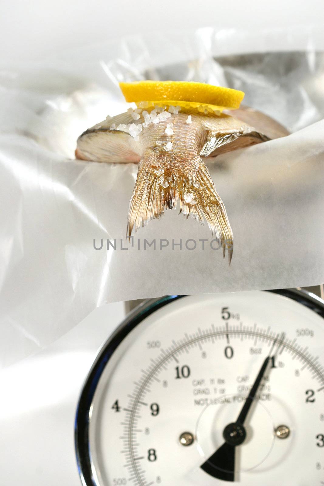 Fish with lemon slice on weight scale by Sandralise