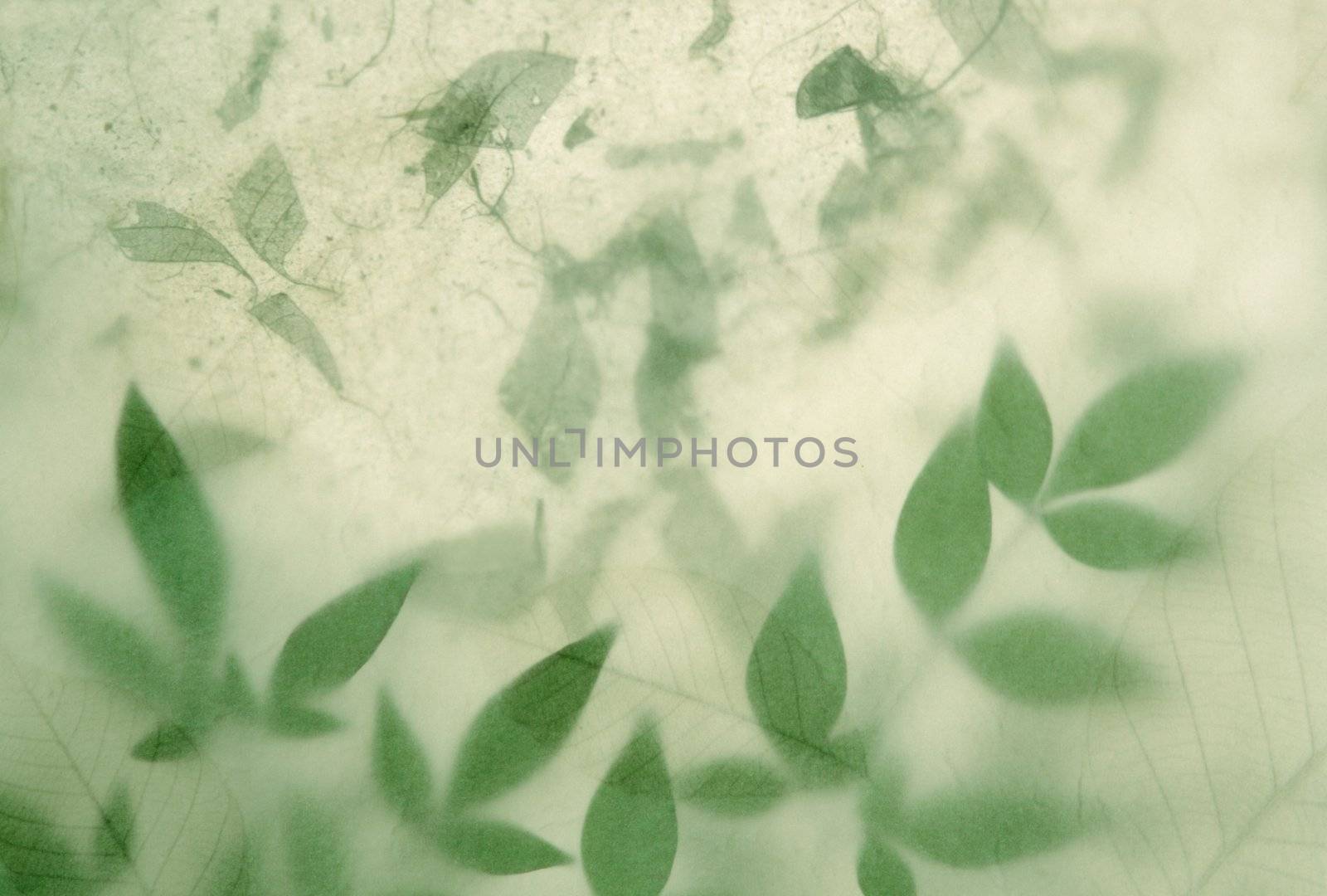 textured paper partially obscures heavenly bamboo leaves over handmade paper with torn leaves embedded