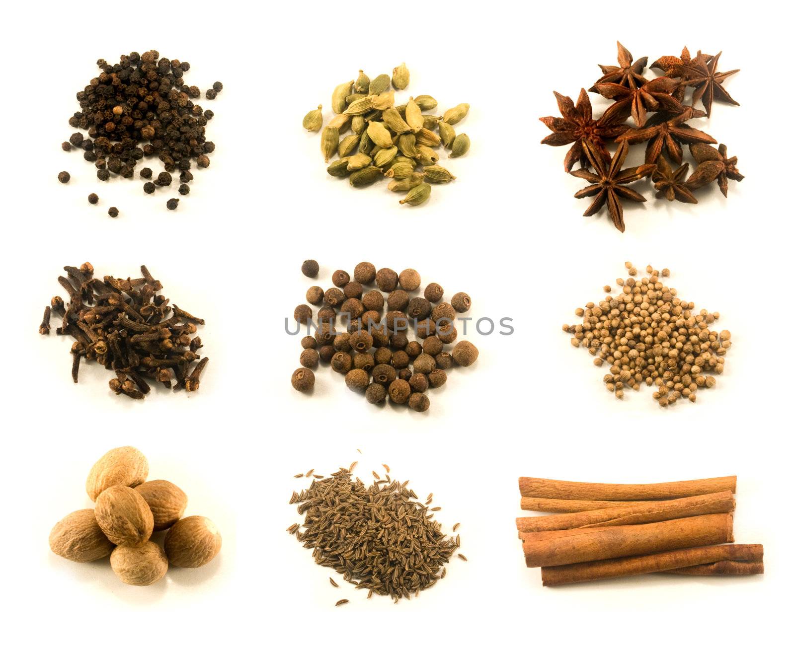 Chart of nine spices isolated on white background