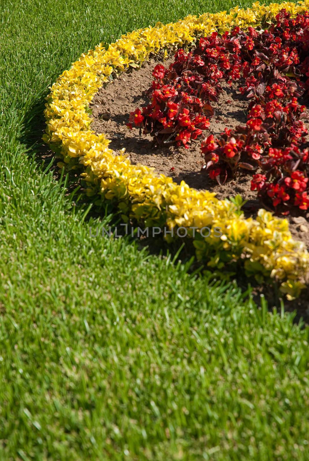 Abstract color shapes of grass, bush and flowers.