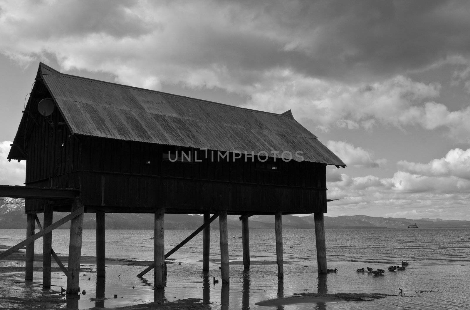 Shack on jetty by timscottrom