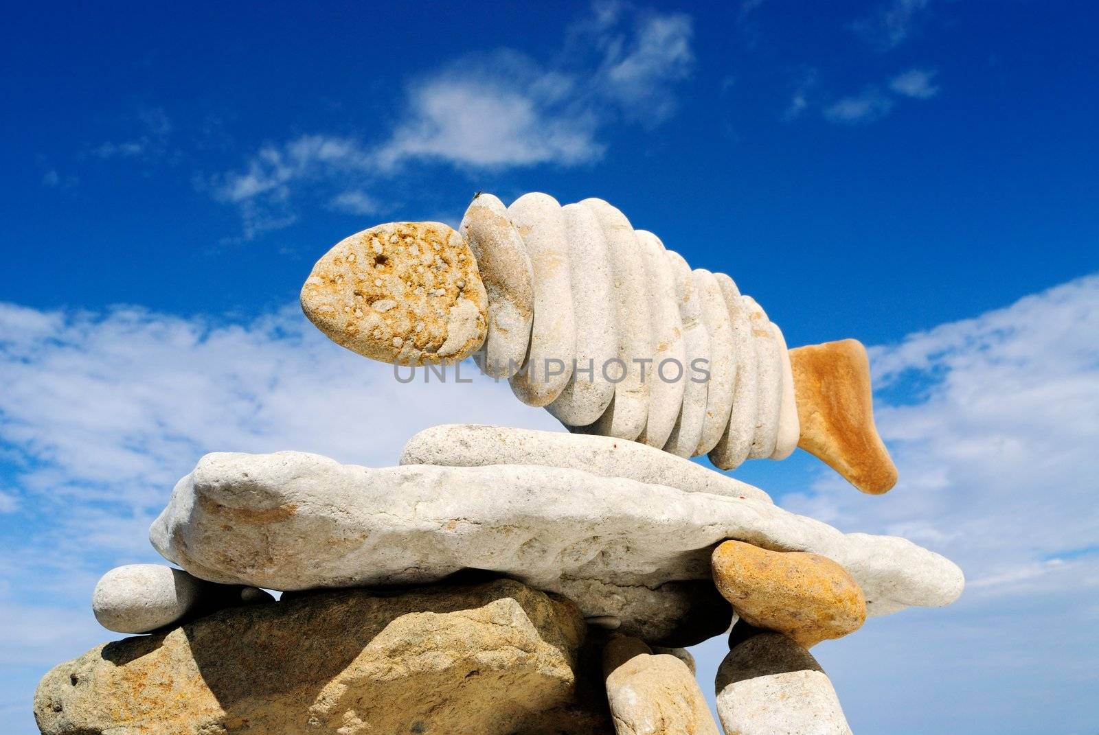 Pile of sea stones in the form of fish and the dark blue sky