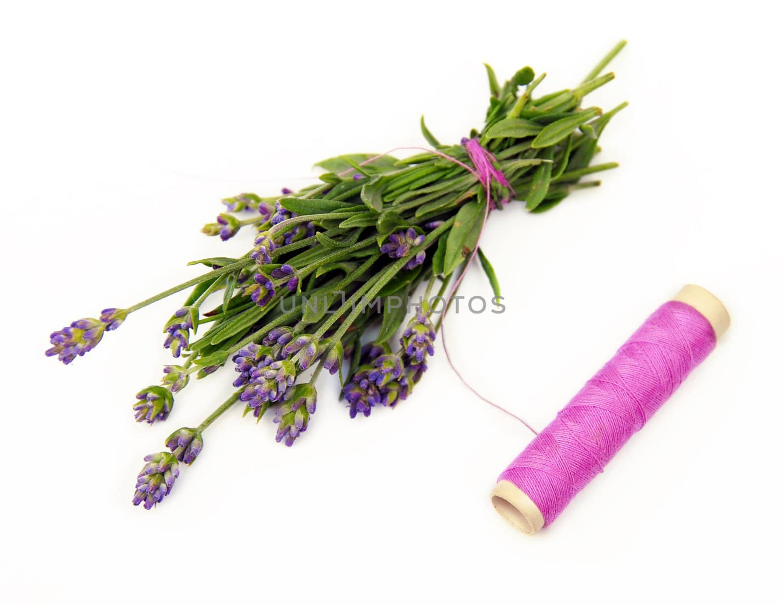 lavender small bouquet