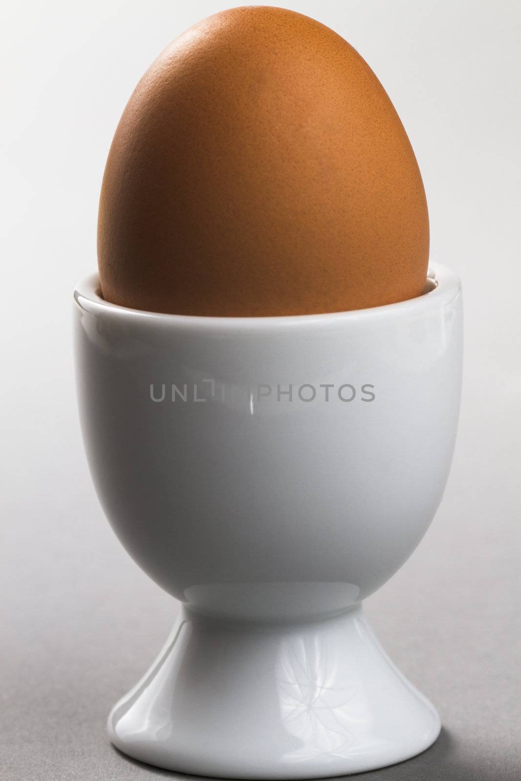 egg with egg cup on white background