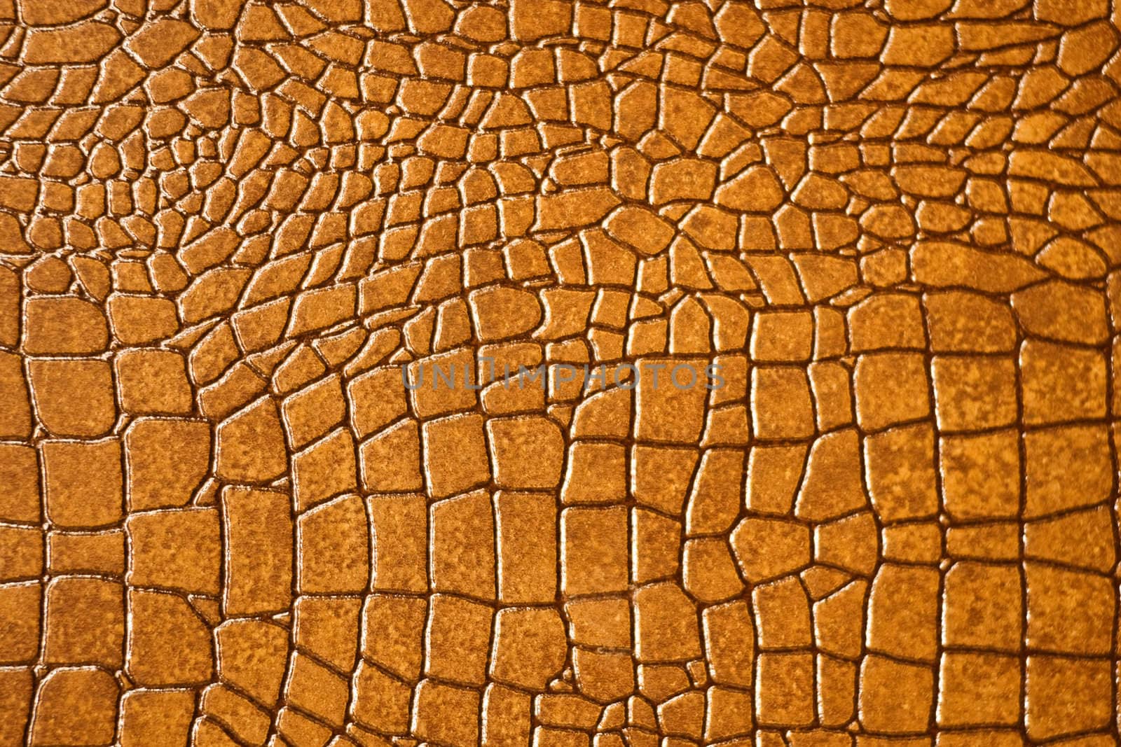 Brown snakeskin or crocodile texture for background