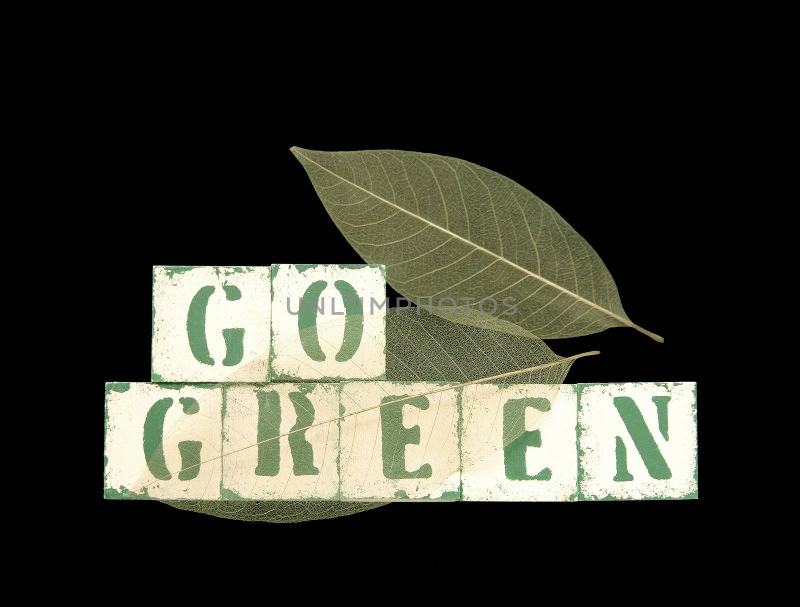 the words 'go green' in old stenciled block letters with skeletonized leaves on a black background