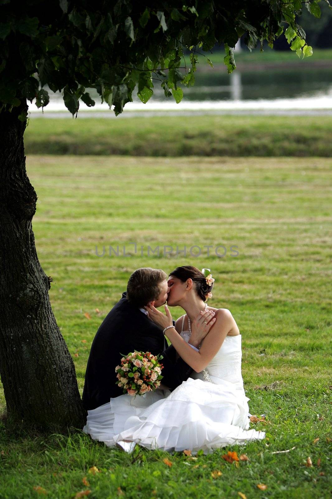 Newlywed couple in love kissing by speedfighter