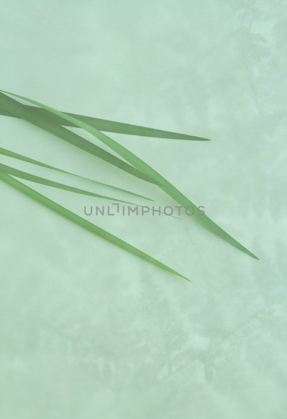 green stripes background by nebari