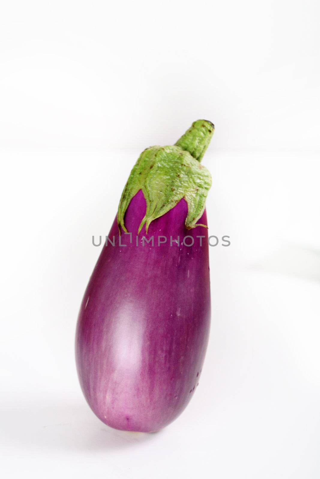 shot of eggplant on white by creativestock