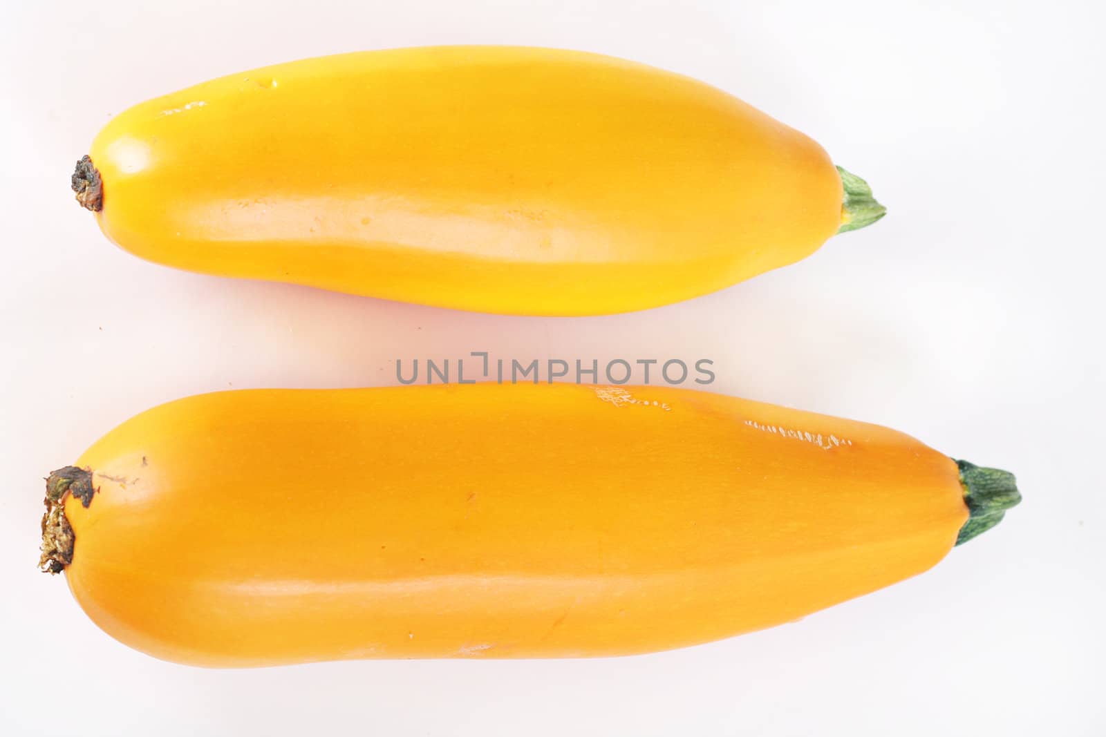 heirloom orange zucchini by creativestock