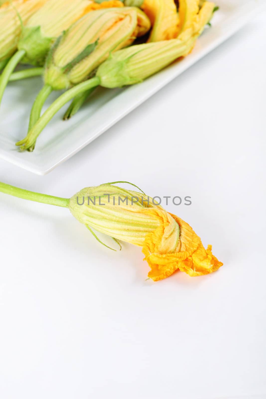 shot of orange squash blossoms on white vertical by creativestock