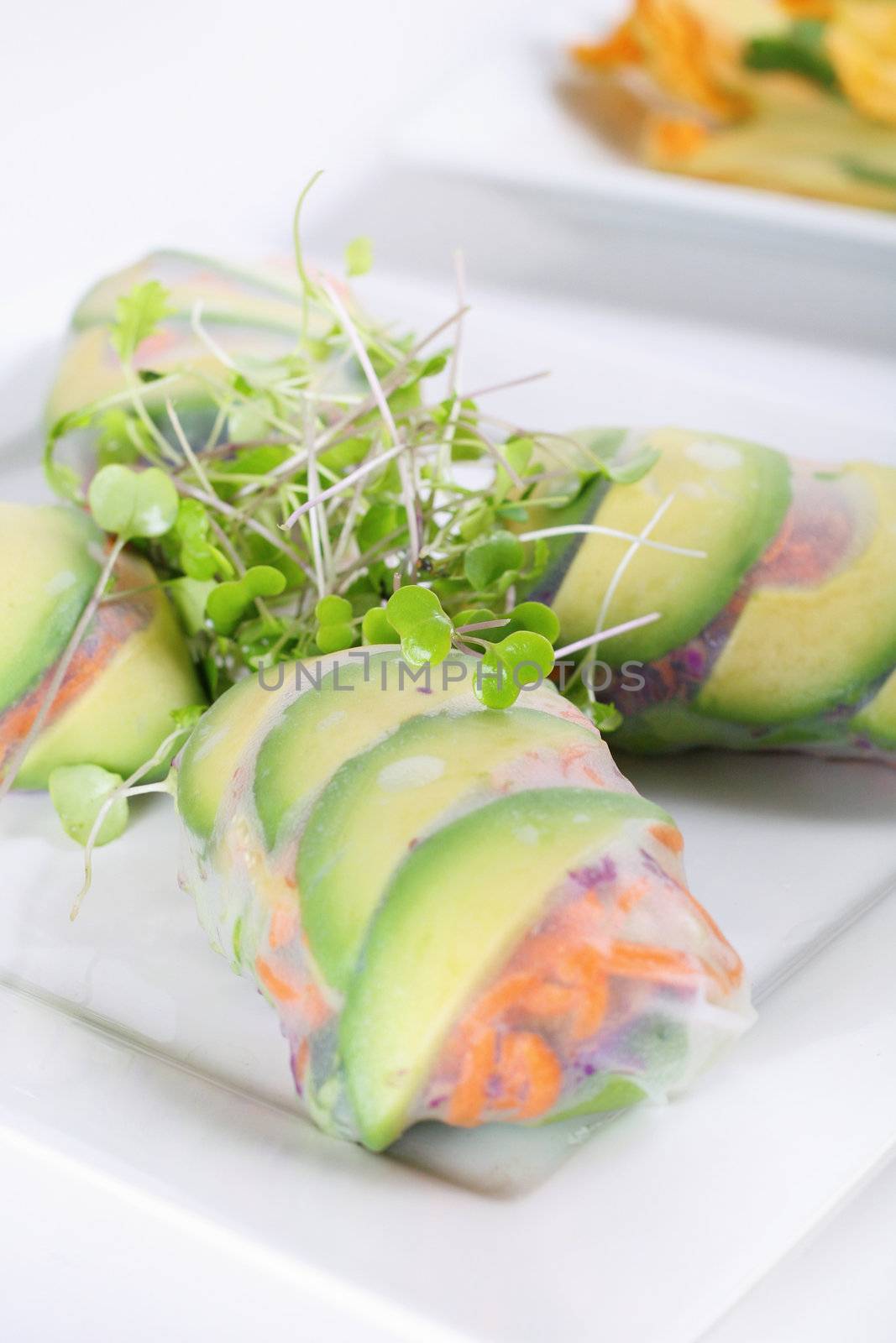 shot of spring roll wrapper with microgreens vertical by creativestock