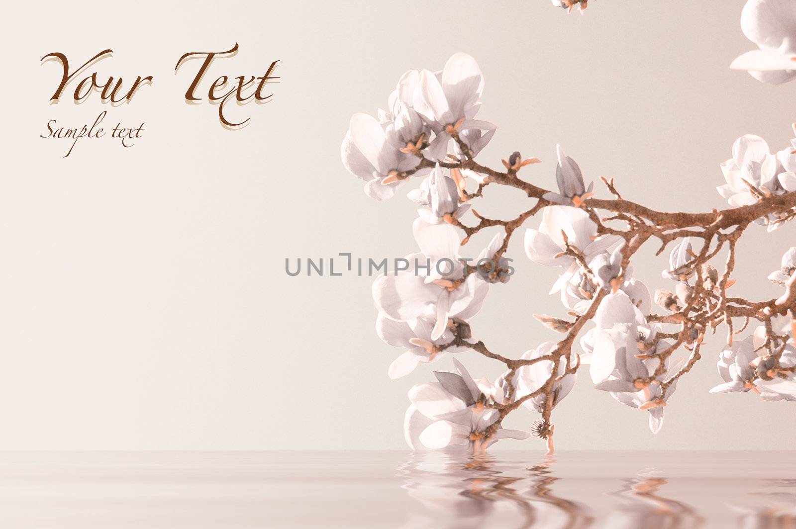 Flower background with copy space for your text