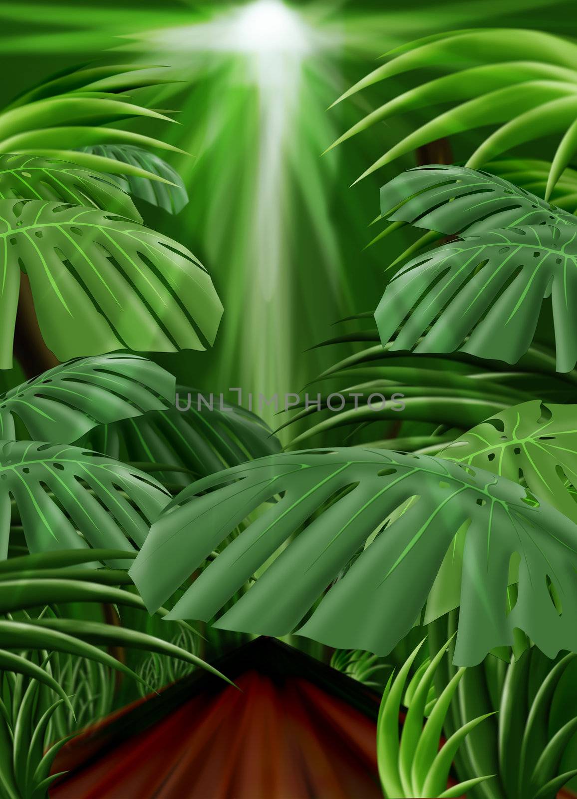 Jungle Background (Front leaf path included) by simas2
