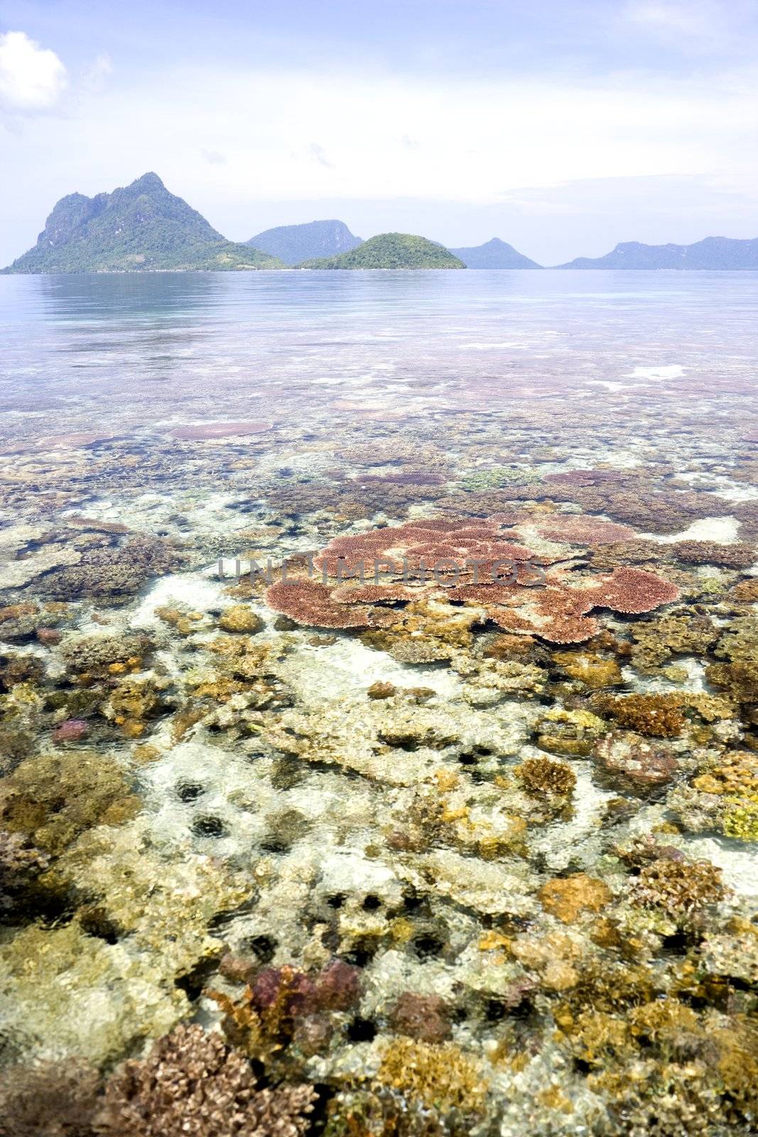 Image of remote Malaysian tropical islands with deep blue skies, crystal clear waters and a coral reef in the foreground.