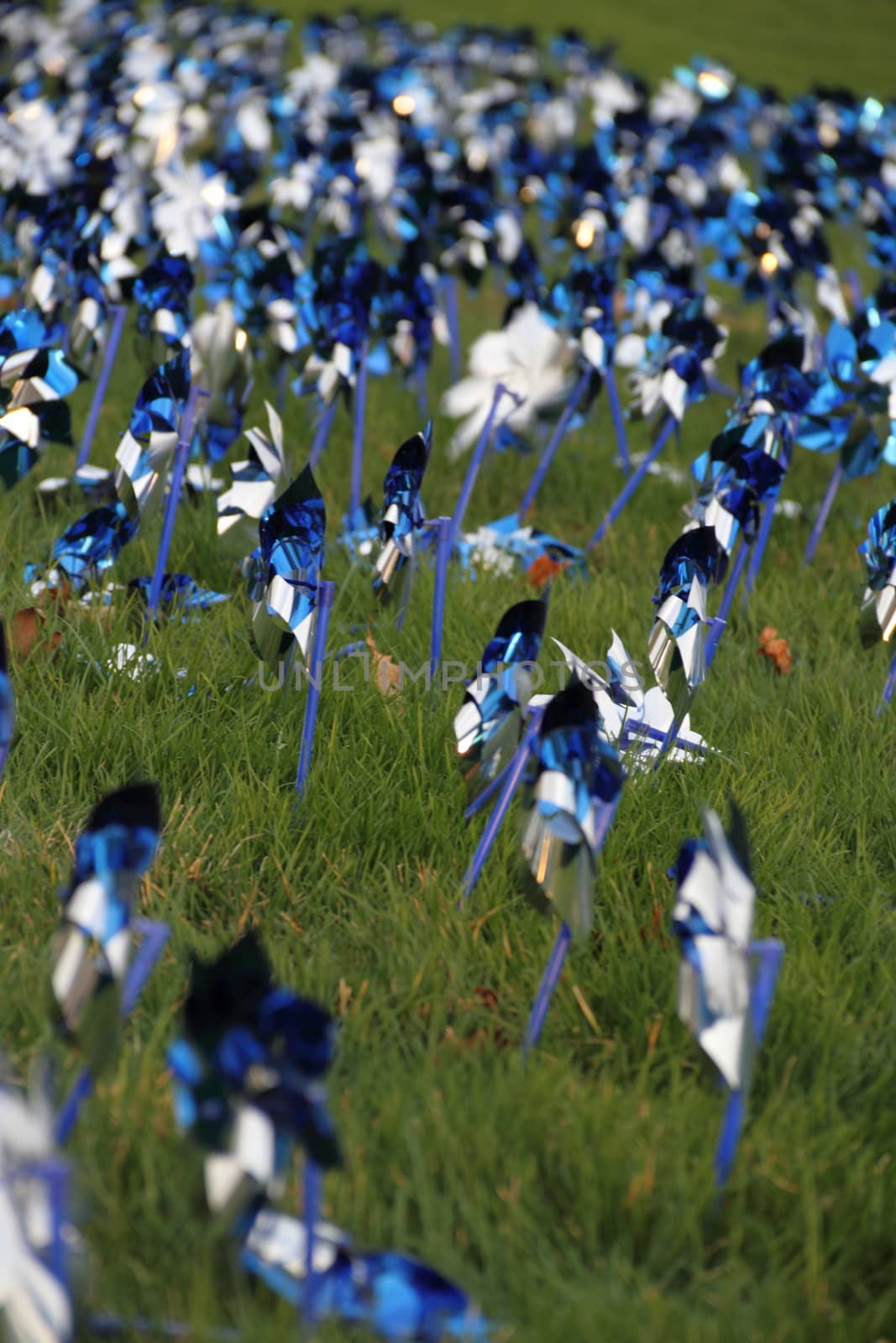 A field full of blue pinwheels spinning in the breeze