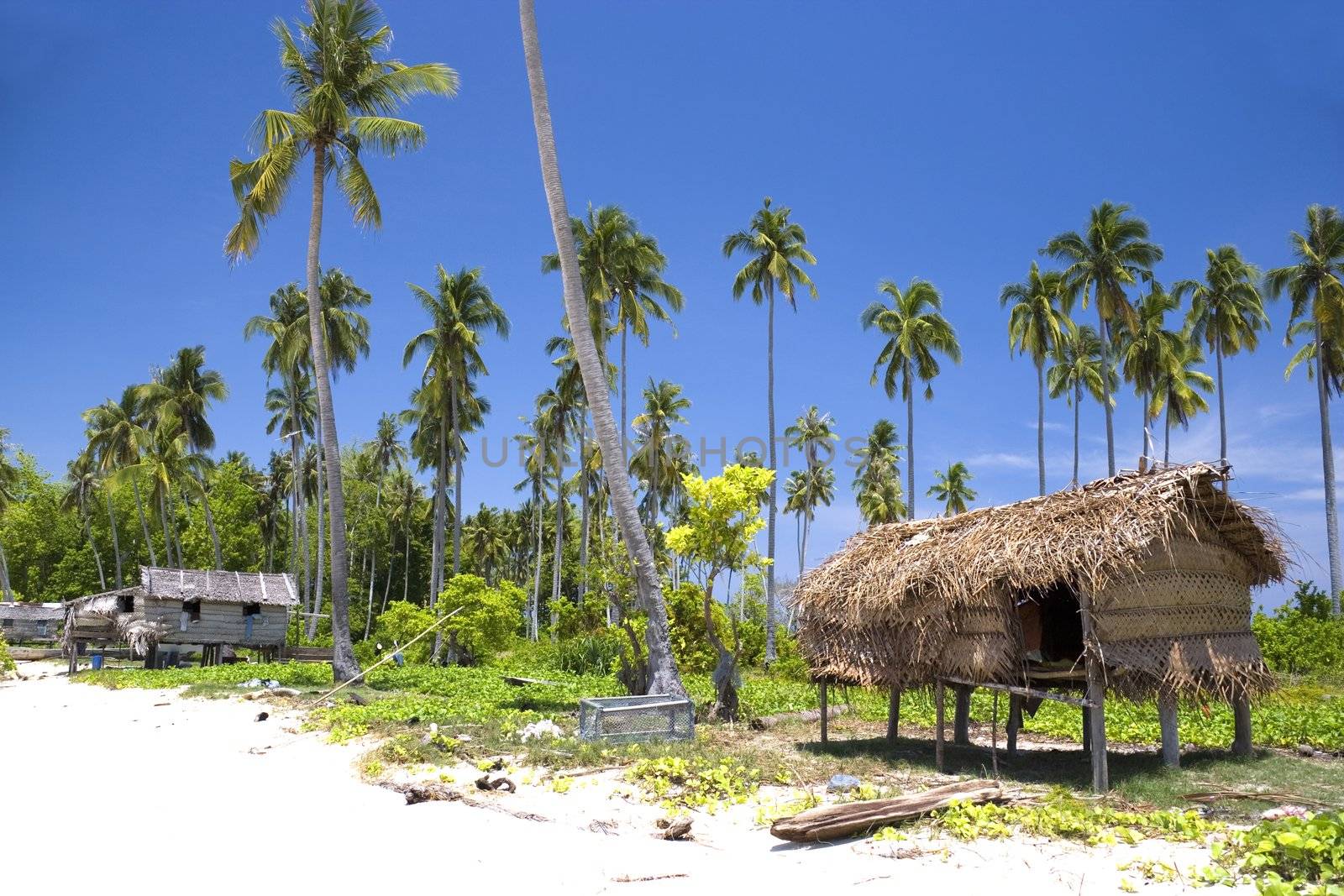 Native Hut on Tropical Island by shariffc
