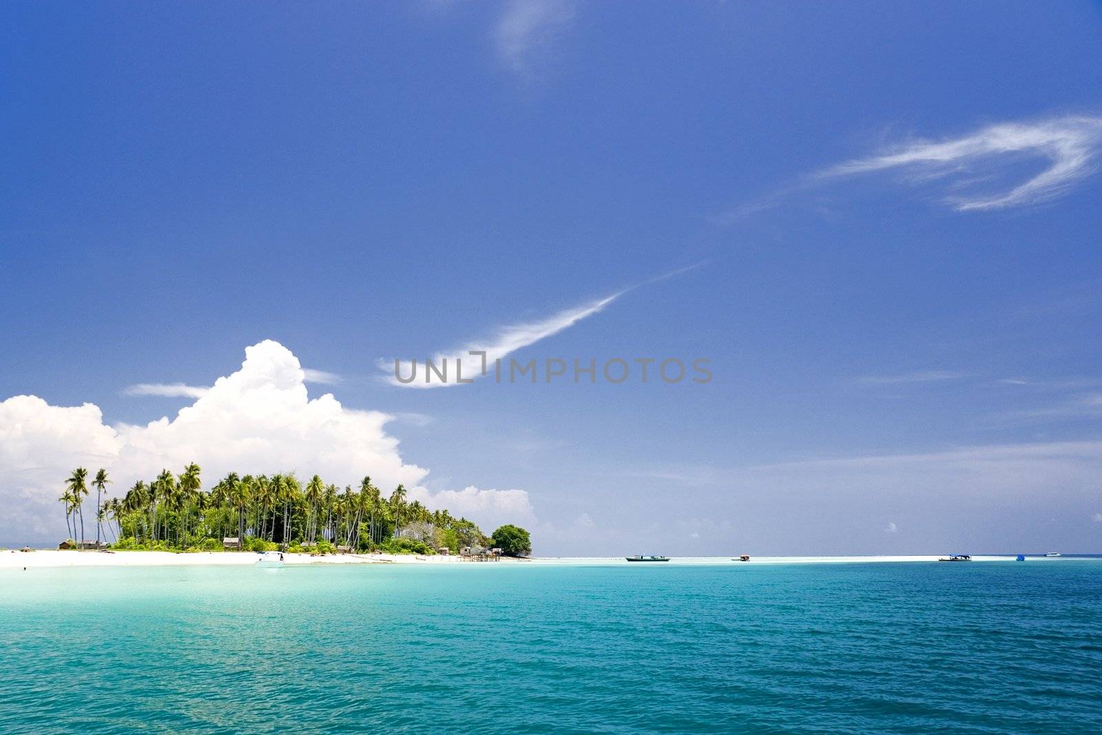 Image of a remote Malaysian tropical island with deep blue skies, crystal clear waters and coconut trees.