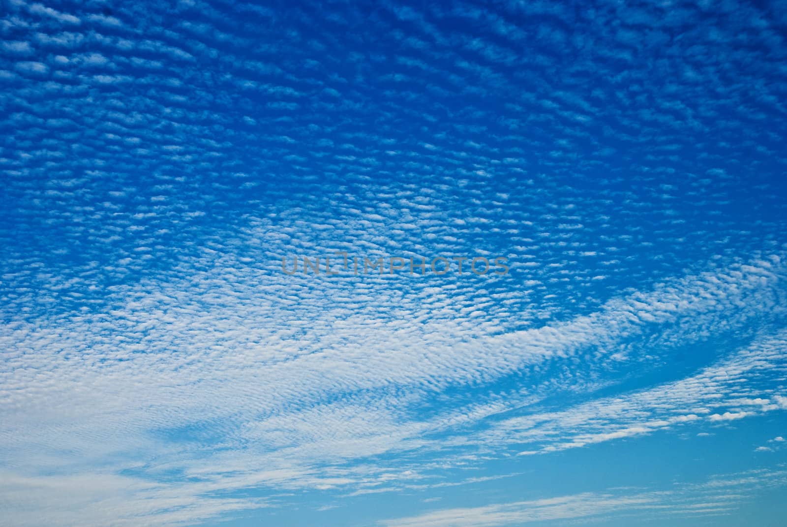 Fish-scale pattern unique clouds