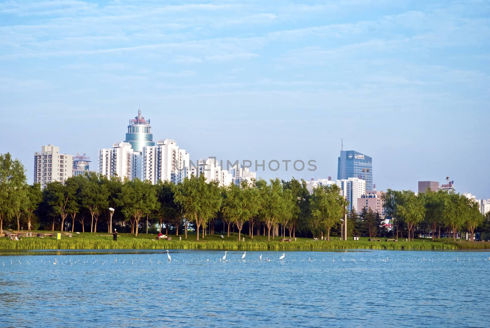 Good urban environment, the natural harmony of man and animals