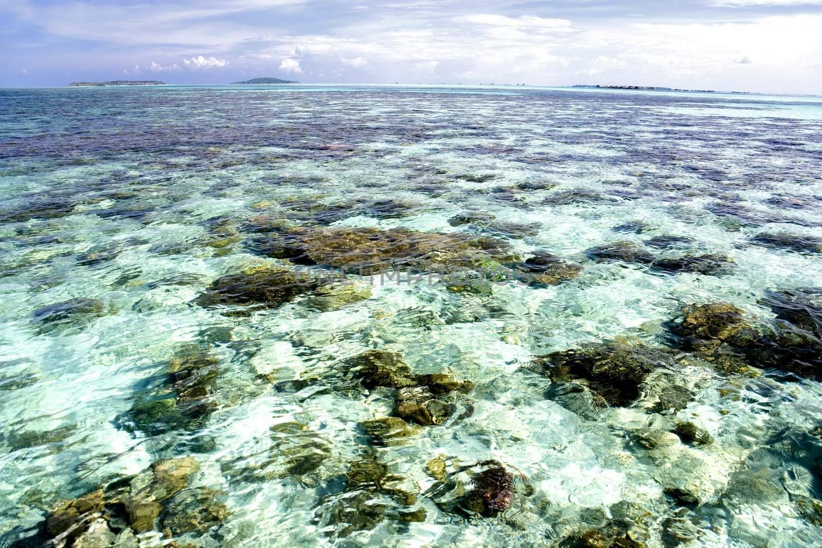 Image of the shallow open sea with crystal clear waters and corals in Malaysian waters.