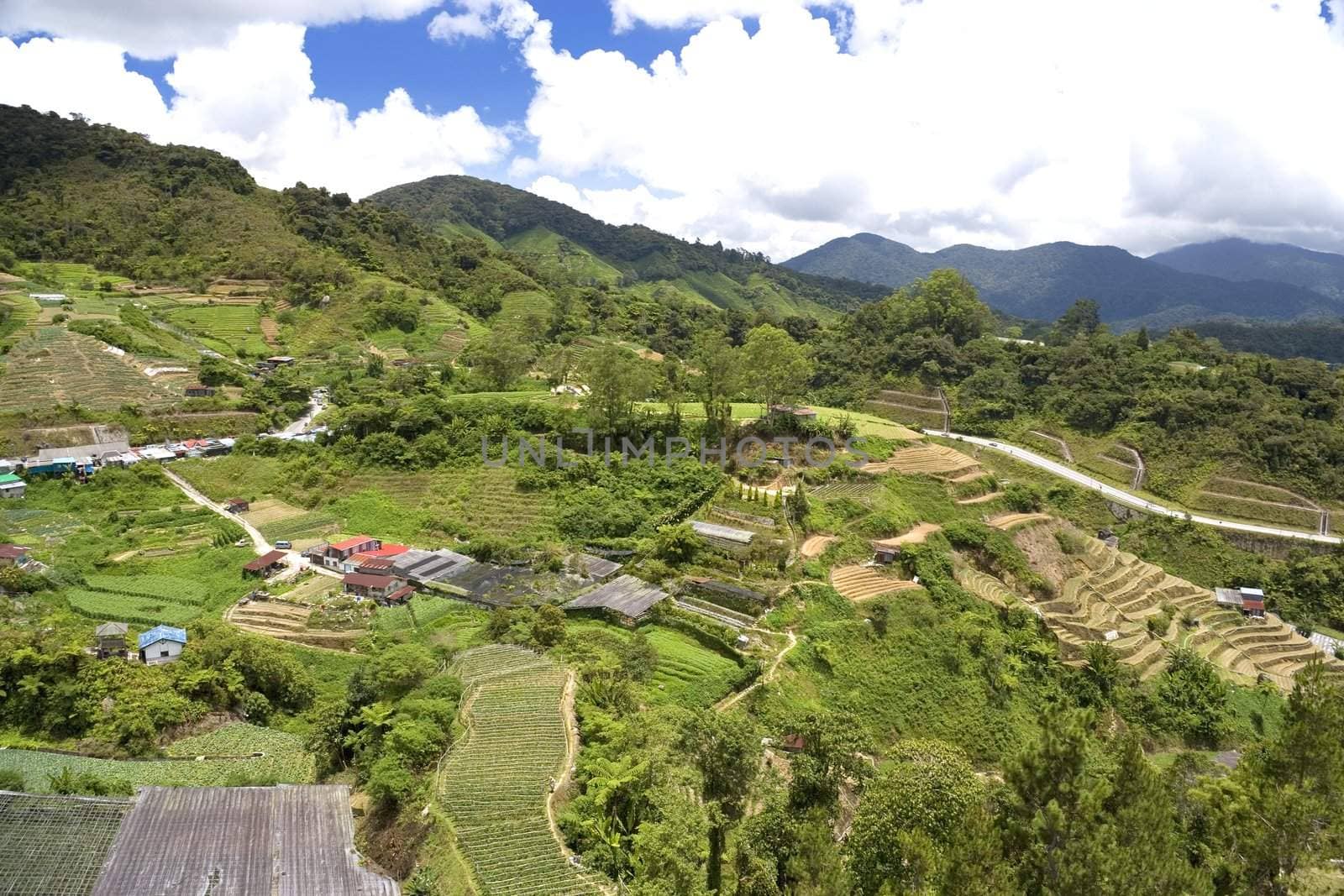 Image of rural scenery in Malaysia.