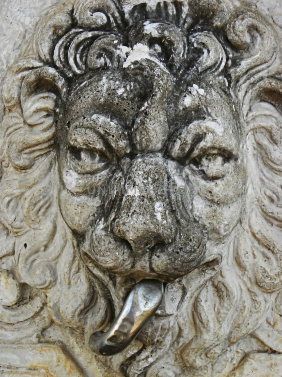 Water fountain with lion face