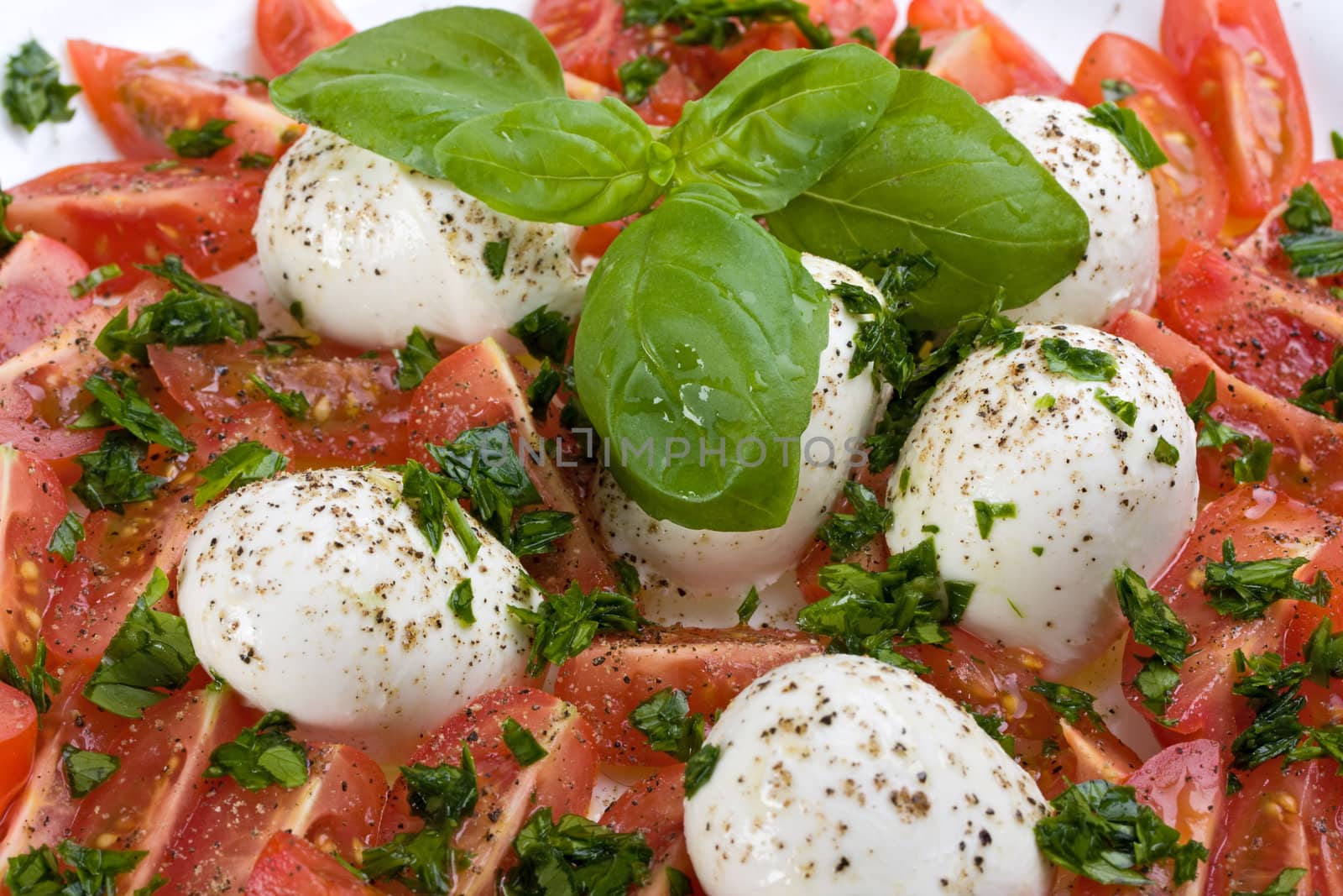 tomatoes, mozzarella and basil: insalada caprese