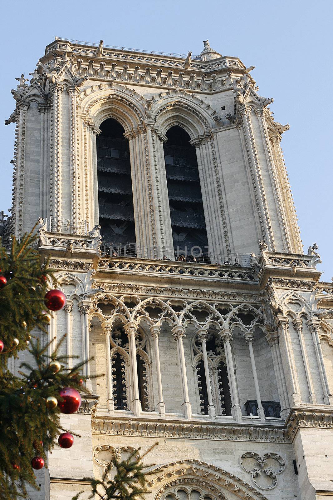 The Notre dame in Paris, France