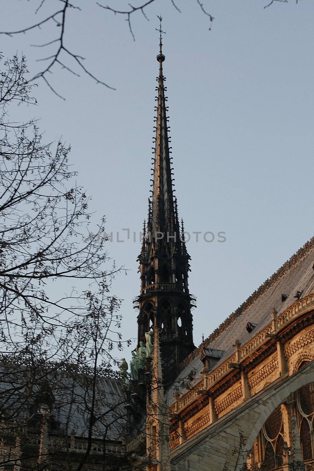 The Notre dame in Paris, France