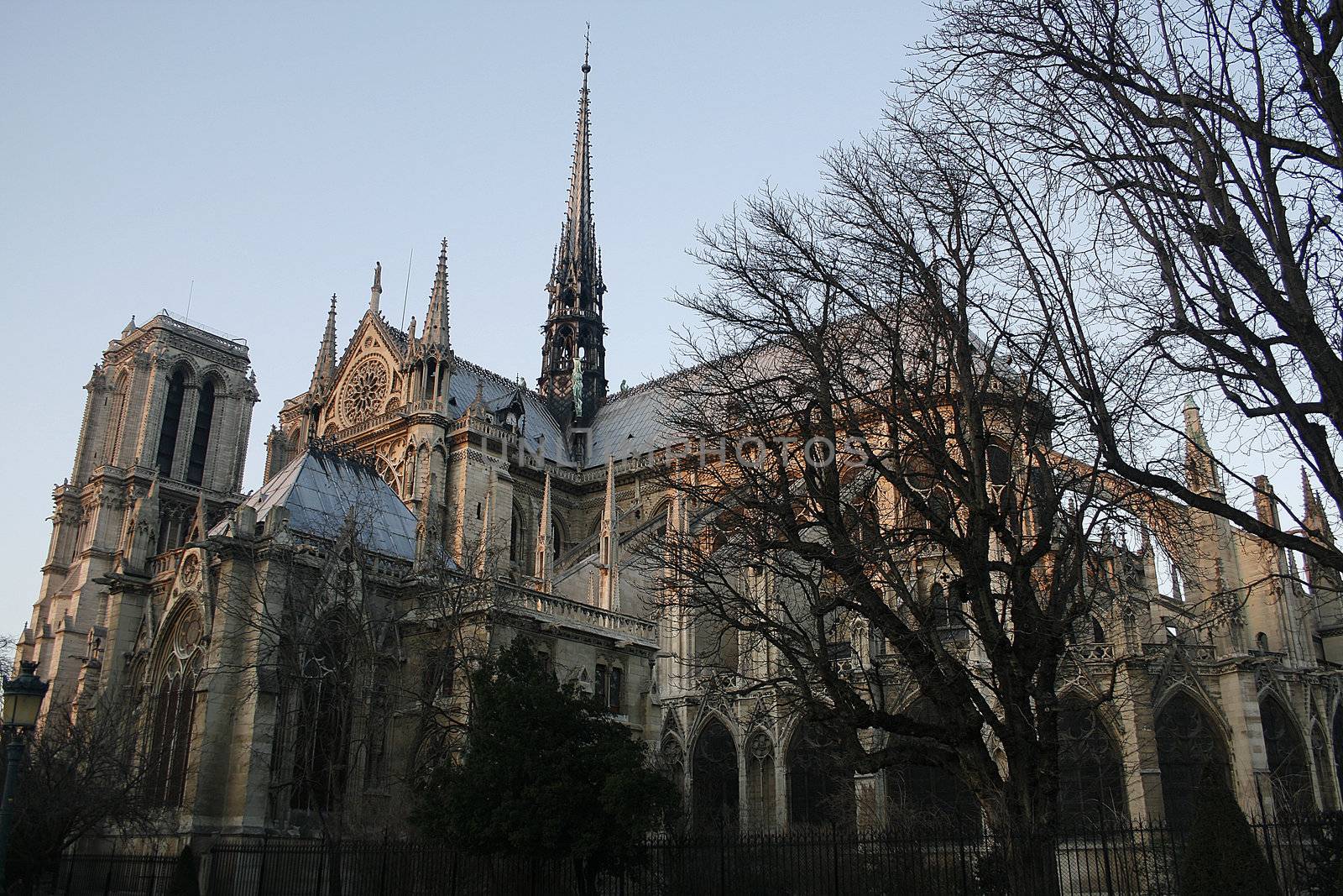 The Notre dame in Paris, France