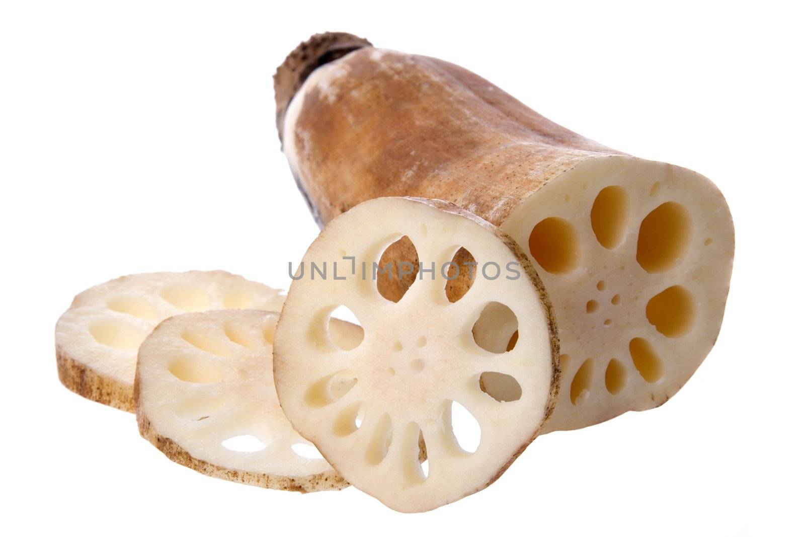 Isolated image of lotus root commonly used in Malaysian cooking.