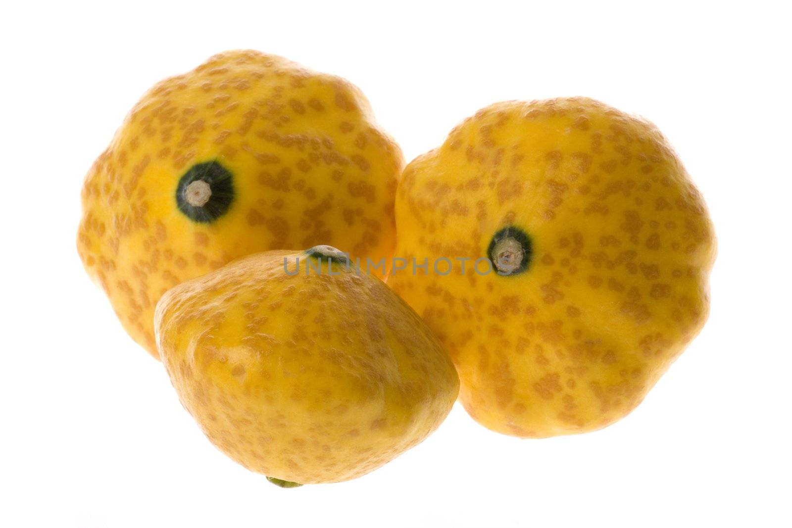 Isolated macro image of yellow squash.